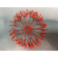 ресничка пиона красн 76.550